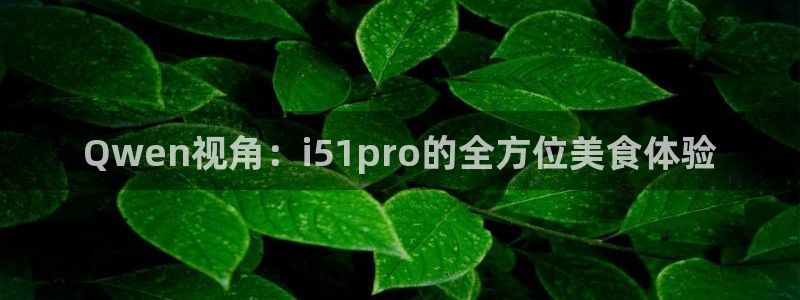 Qwen视角：i51pro的全方位美食体验