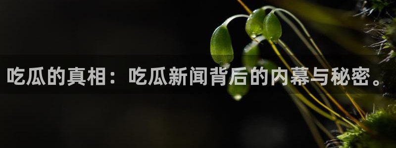 吃瓜的真相：吃瓜新闻背后的内幕与秘密。