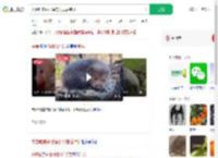 夫妻吃来偷柑橘的竹鼠后肺炎_360搜索
