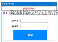 软件授权验证系统开发核心要点解析