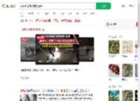 眼镜蛇进院被狗狗提醒_360搜索