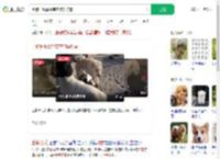 土狗长毛靠智商在狗群称霸_360搜索