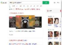 小浣熊出逃50多天后车祸受伤_360搜索