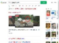 在331国道偶遇东北虎遛弯_360搜索