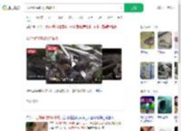 4米巨蟒偷吃8只鸡被抓_360搜索