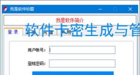 软件卡密生成与管理：高效安全的授权解决方案