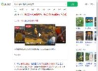 黑龙江景区内梅花鹿踢倒游客_360搜索