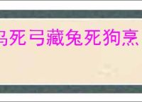 根源优课pc端下载 根源优课(远程视频课程教育学习平台) v2.4.6 免费安装版 下载-脚本之家