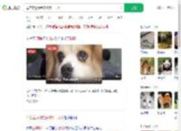 母亲立遗嘱给宠物狗十几万_360搜索