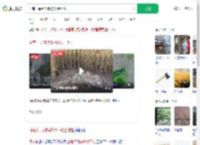 河南干旱到铁锹挖不动土地_360搜索