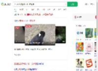 上山捡菌被迷路小熊一路跟随_360搜索