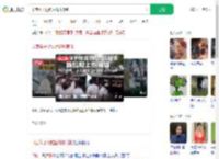 印度猴子抢钱后爬树撒钱_360搜索