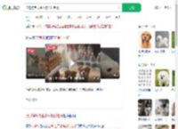 流浪狗乞食生小狗托付老板_360搜索