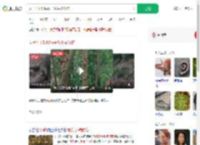 女子不听劝喂猴子花生被咬伤_360搜索
