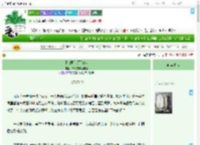 《[韩娱]永不降落》草莓波波爱吃橙　^第9章^ 最新更新:2025-09-03 15:18:50 晋江文学城