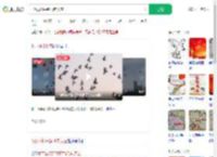 8万羽和平鸽飞向天空_360搜索