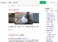 阅兵鸽子不可能飞到贵州_360搜索