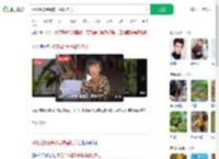 网红瑶族建哥被马蜂蜇伤身亡_360搜索