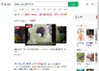 挖44株野生雪莲售卖2000元_360搜索
