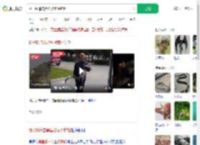 扬子鳄追击黑鱼被意外钓起_360搜索
