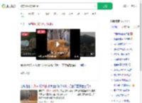 被东风5C烧饼馋到了_360搜索