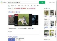 哈士奇咬死柯尔鸭犬主赔千元_360搜索