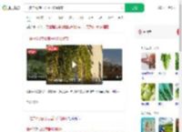 一住户5楼空心菜垂1楼像瀑布_360搜索