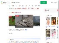 天天下雨鞋带上长出了绿芽_360搜索