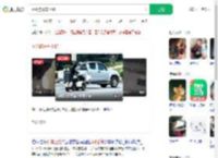 网红狗开车上路_360搜索