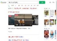 柯基误上高架桥交警护送_360搜索