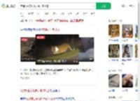 夜遇野生东北虎大喊：本地的_360搜索