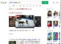 大爷收养40条狗被邻居投诉_360搜索