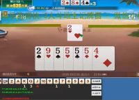 微乐跑得快/3人斗地主记牌器 - 微信小程序专用电脑版，胜率翻倍