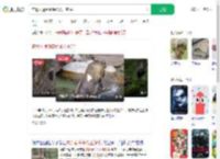 在景区遇到秦岭杀人王羚牛_360搜索