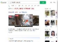 猴子抢面包后携猴群组团抢店_360搜索