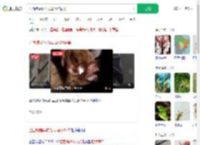 巴西蝙蝠体内发现冠状病毒_360搜索