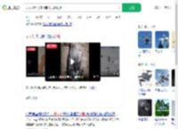 无人机黑飞撞落南飞大雁致死_360搜索