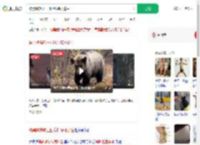 被黑熊撕咬三四分钟装死逃生_360搜索