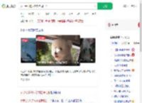 女子给小狗买冬衣挂满阳台_360搜索