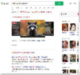 小浣熊出逃50多天后车祸受伤_360搜索