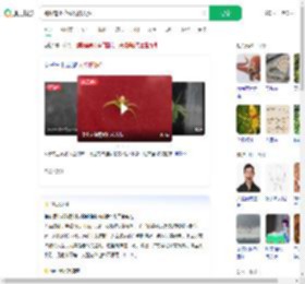 蜘蛛背上花纹酷似人脸_360搜索