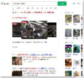 4米巨蟒偷吃8只鸡被抓_360搜索