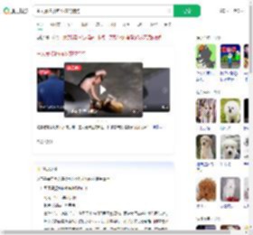 主人暴揍扑向小孩的狗狗_360搜索