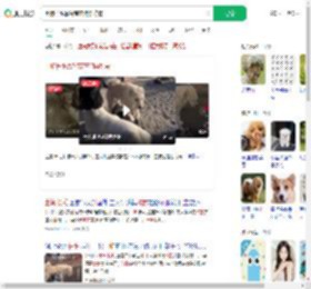 土狗长毛靠智商在狗群称霸_360搜索