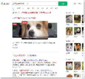 母亲立遗嘱给宠物狗十几万_360搜索