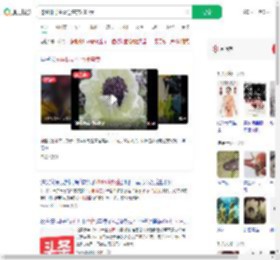 挖44株野生雪莲售卖2000元_360搜索