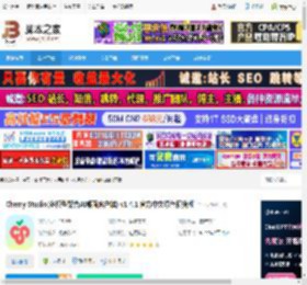 Cherry Studio下载 Cherry Studio(多模型聚合AI桌面客户端) v1.4.1 官方中文绿色便携版 下载-脚本之家