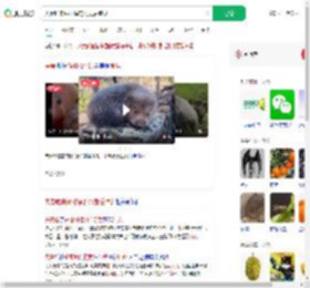 夫妻吃来偷柑橘的竹鼠后肺炎_360搜索