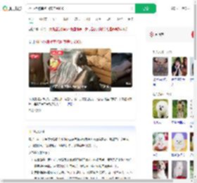 担心猪被宰抱回家养到400斤_360搜索