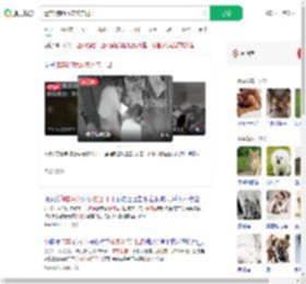 遗弃3狗崽放宠物店门口_360搜索